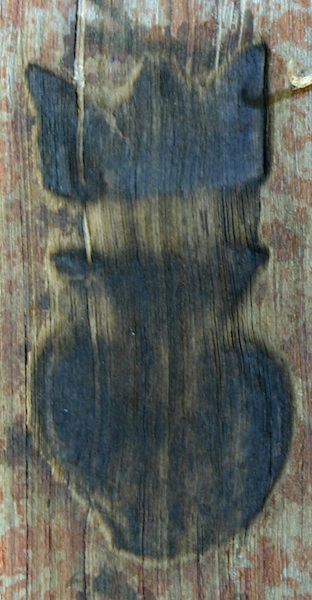 16188 mf.jpg